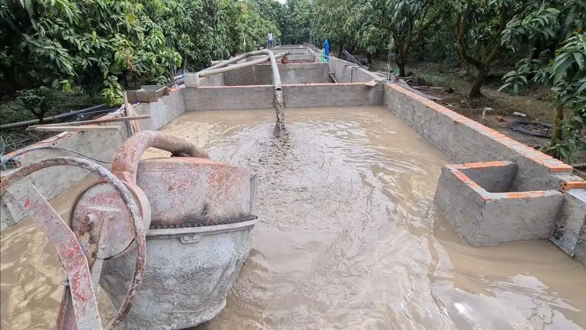 Phương pháp bơm cát